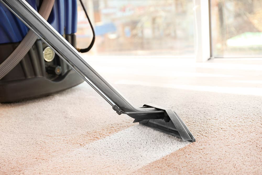 how-to-dry-a-wet-carpet-fast-7-methods-house-grail