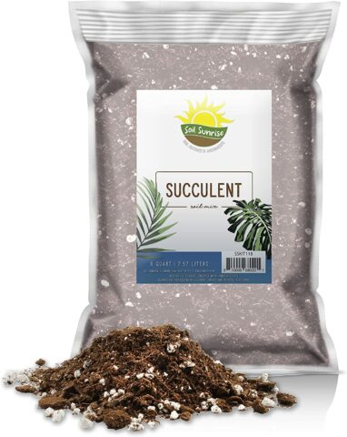 Succulent Potting Soil Mix