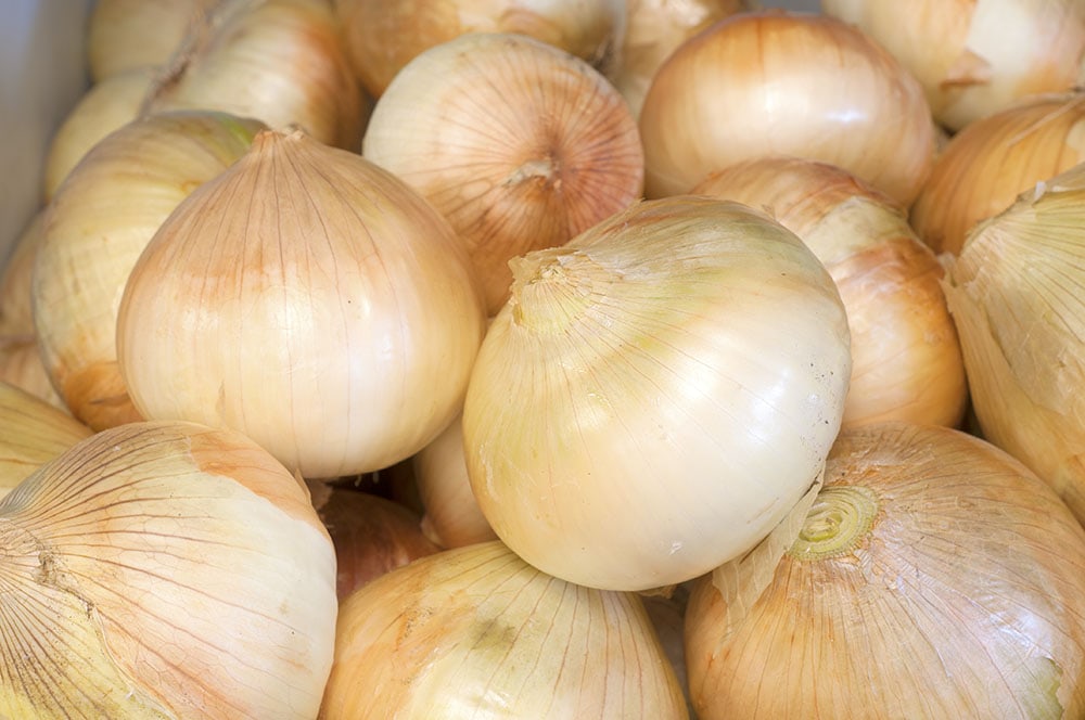 Sweet Walla Walla Onion