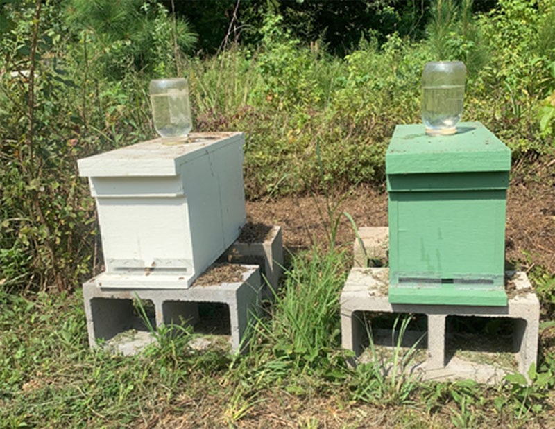 Top-Style Feeder