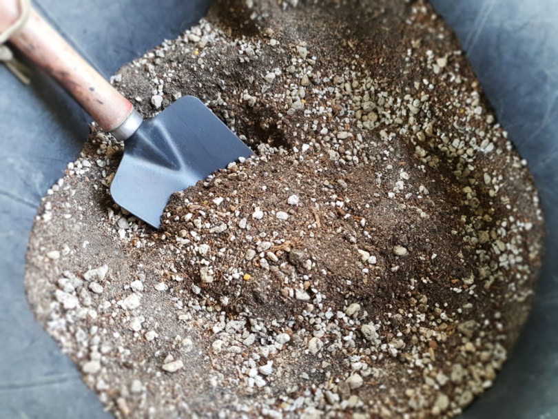 cactus soil mixing