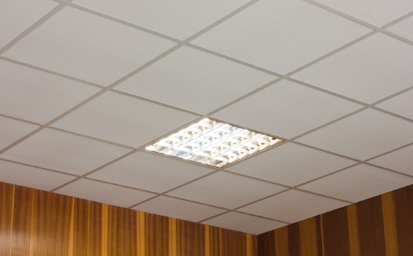 9 Common Types of Ceiling Tiles (With Pictures) | House Grail