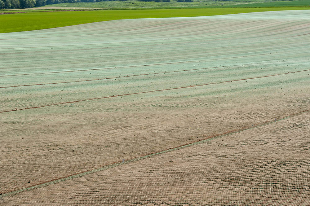 field covered with net