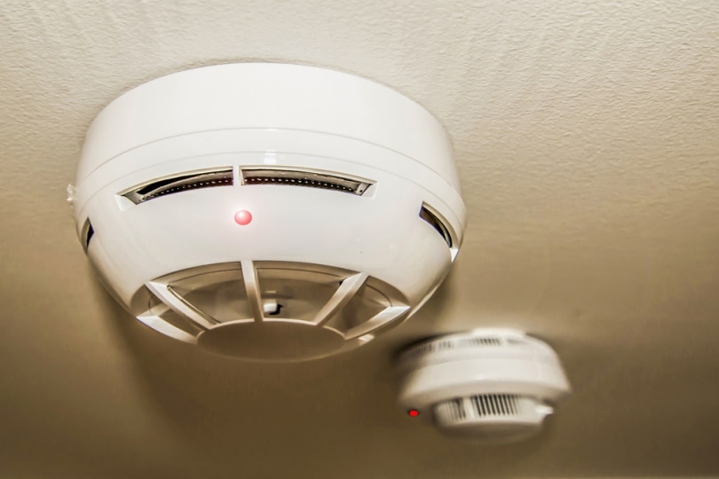 Heat Detectors Vs Smoke Detectors Difference Types FAQ House Grail   Fire Detectors On The Ceiling 1599686sv Shuttterstock 