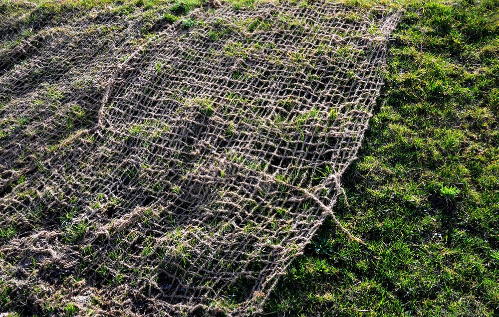 ground covered with burlap mesh
