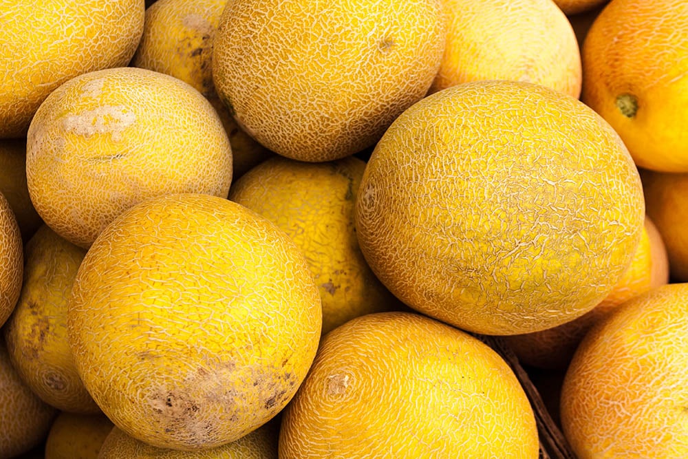 locally grown casaba melons
