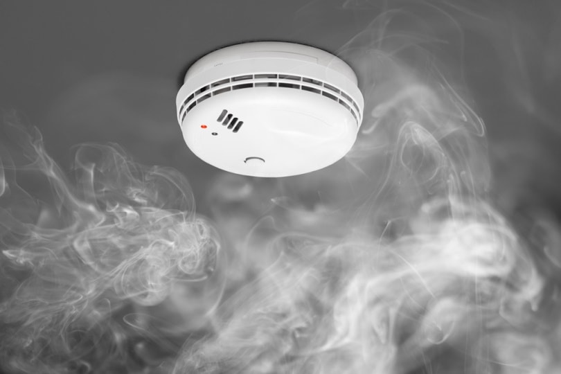 is-covering-a-smoke-detector-illegal-facts-faq-house-grail