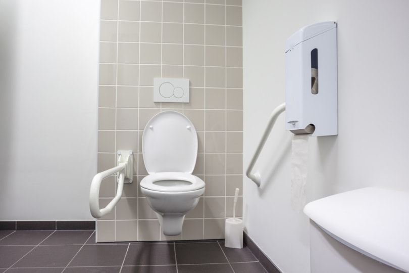 Who Invented The Toilet And When History Of The Toilet House Grail   Toilet For Disableed Marcel Derweduwen Shutterstock 