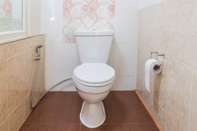 why-is-my-toilet-seat-turning-blue-4-possible-reasons-house-grail