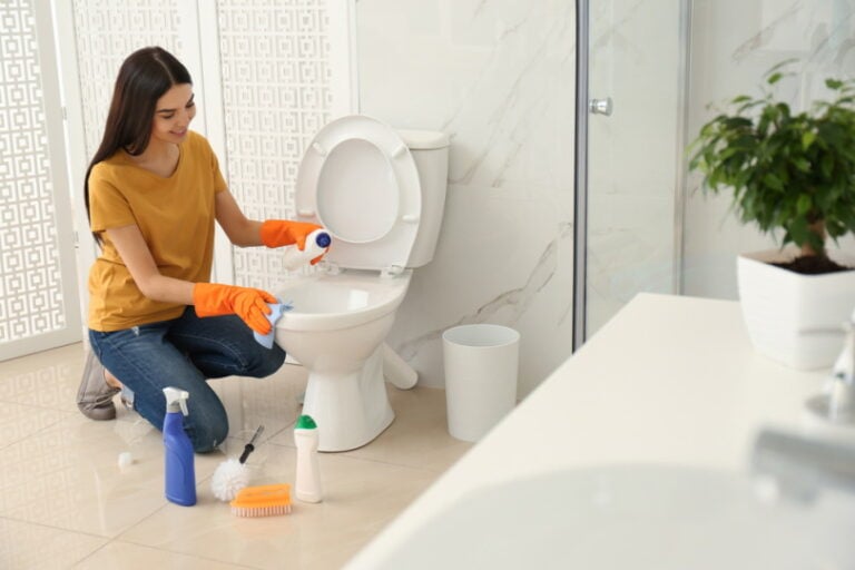 can-i-use-clr-in-a-toilet-pros-cons-maintenance-tips-house-grail