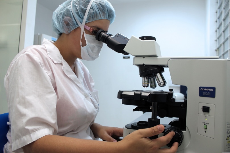 woman using microscope