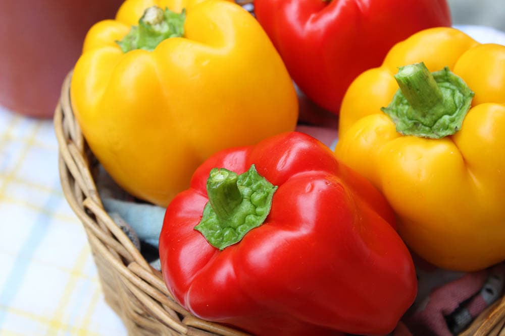 yellow and red bell peppers