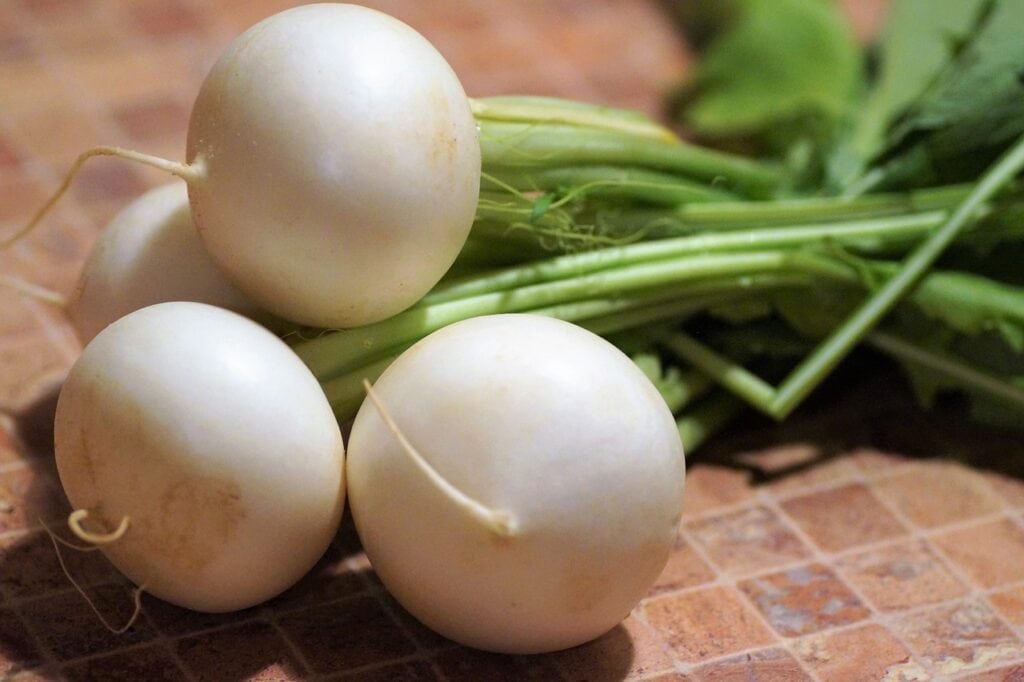 Baby Bunch Turnips