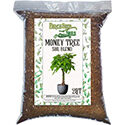 Birch Seed Soils Money Tree Blend