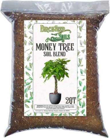 Birch Seed Soils Money Tree Blend