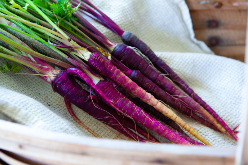 Black Nebula Carrot
