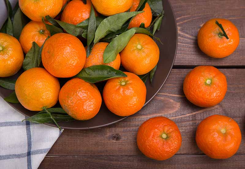 6 Types of Tangerines An Overview (With Pictures) House Grail