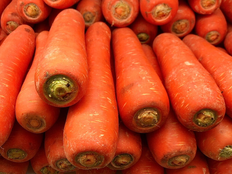 Chantenay Red Cored Carrot