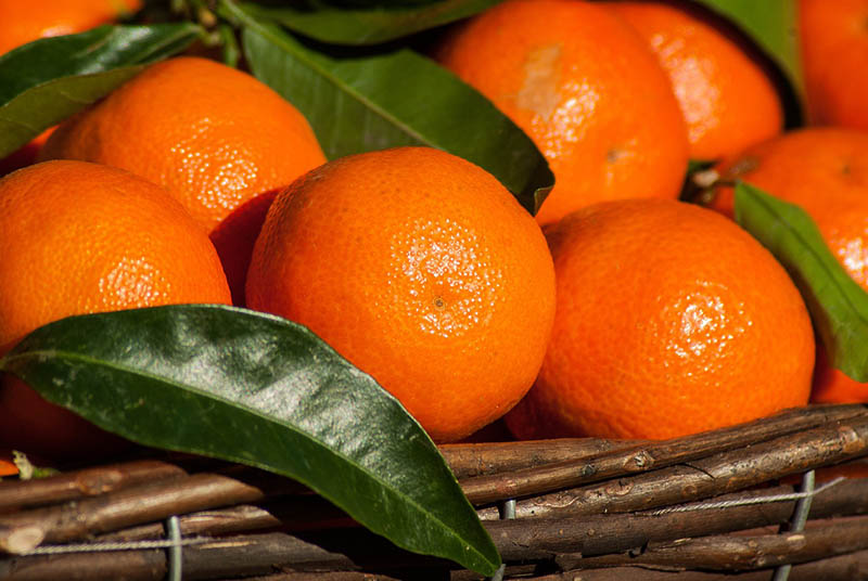 algerian tangerine clementine