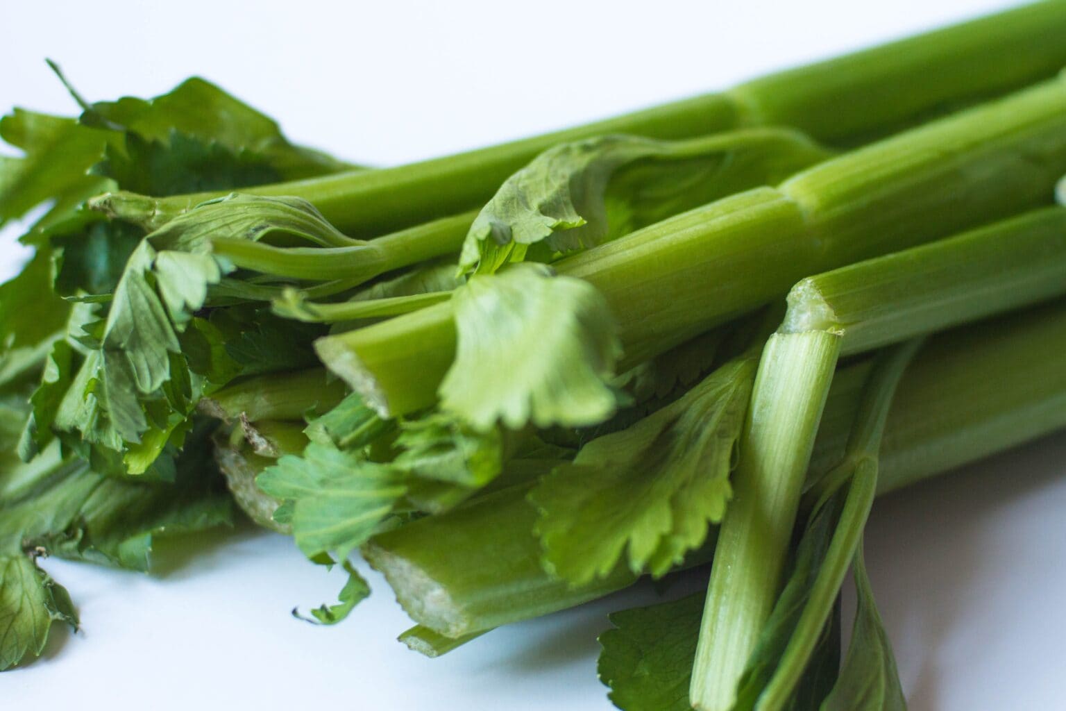 13 Types of Celery to Grow at Home (With Pictures) | House Grail