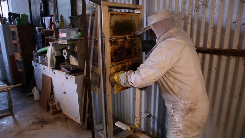 DIY Indoor Beehive