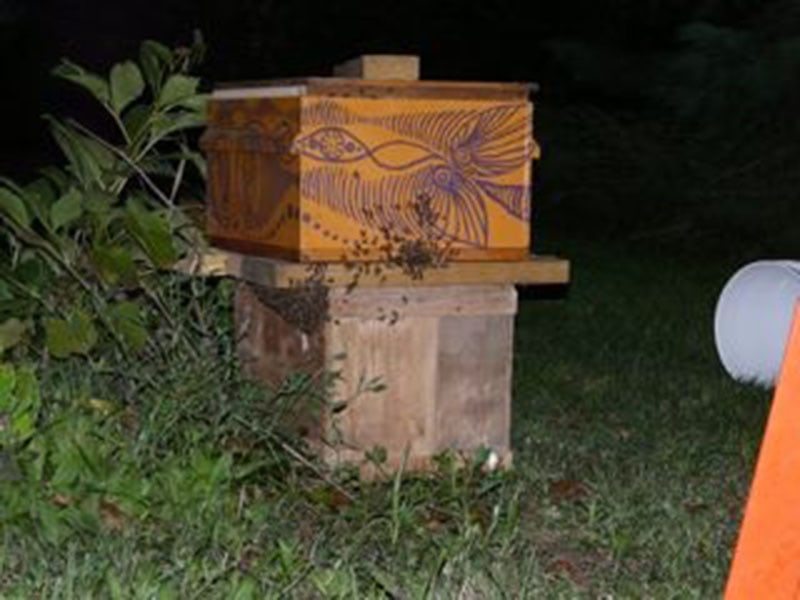 DIY Indoor Beehive