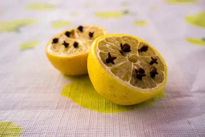 DIY Lemon and Clove Repellent from Totally the Bomb