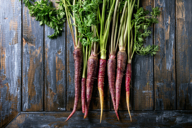 Deep Purple Hybrid Carrot