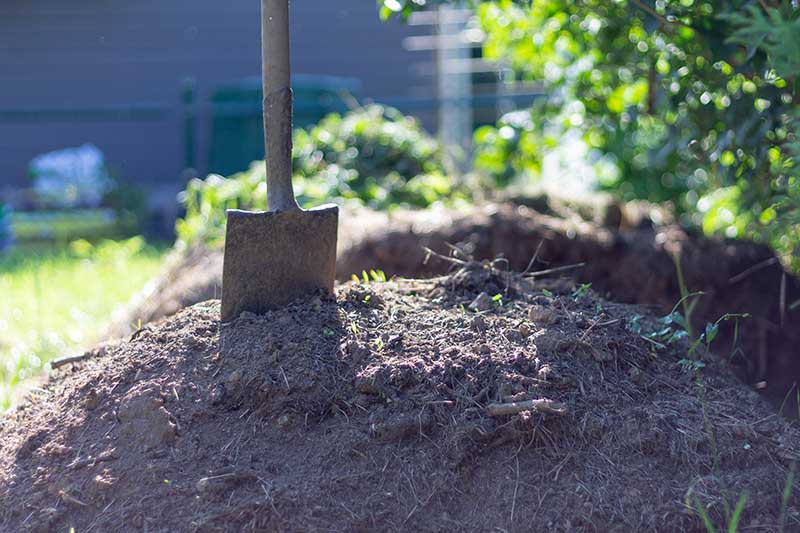 Pala de jardín en compost.  Suelo recién compostado del contenedor de compost.  vegetales ricos en nutrientes convertidos en tierra