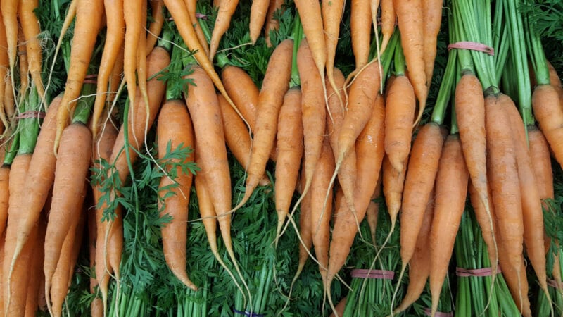 Imperator 58 carrot