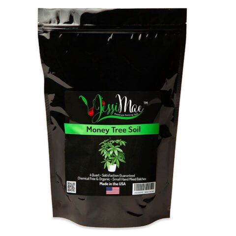 Jessi Mae Money Tree Soil