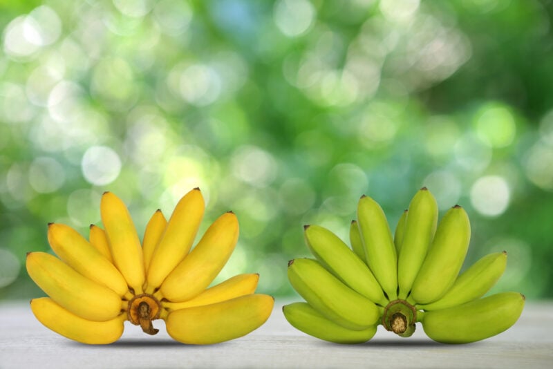 Lady's Finger Bananas