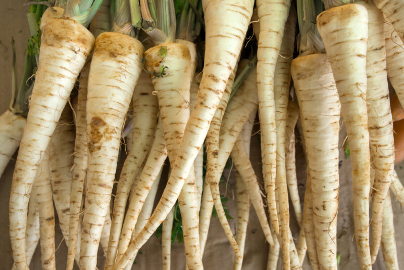 Lunar White carrot