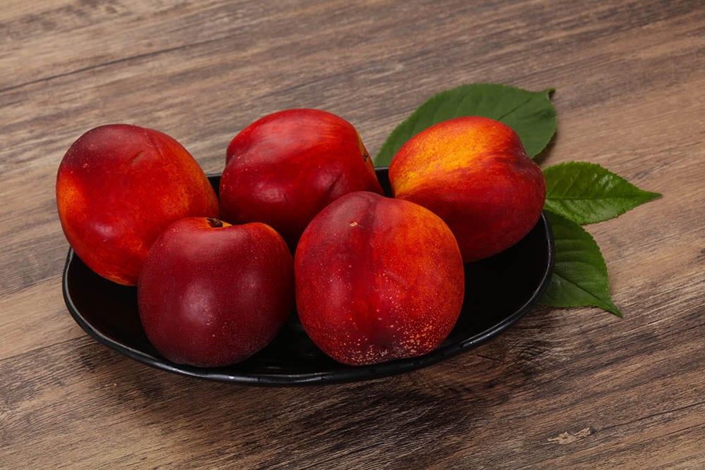 56 Nectarine Varieties An Overview (With Pictures) House Grail