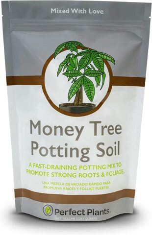 Perfect Plants Money Tree Potting Soil