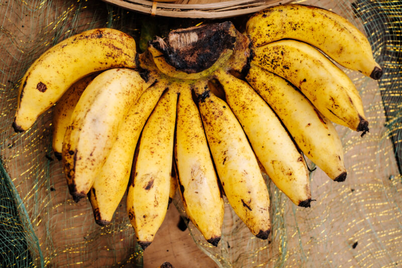 Pisang Raja Bananas