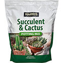 Premium Succulent Soil Mix
