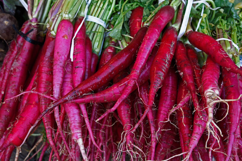 Purple Dragon carrots
