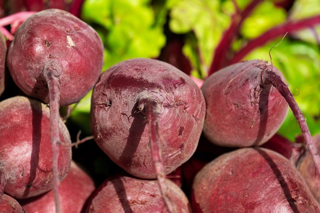 Red Round Turnip