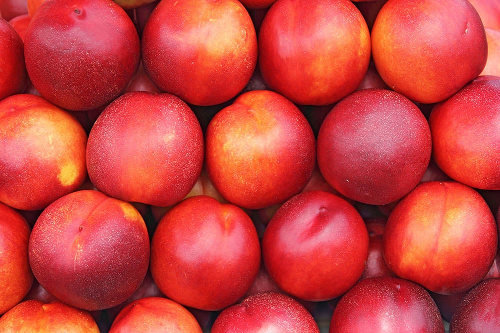 56 Nectarine Varieties An Overview (With Pictures) House Grail