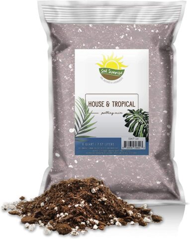 Soil Sunrise House Plant and Tropical Plant Potting Soil