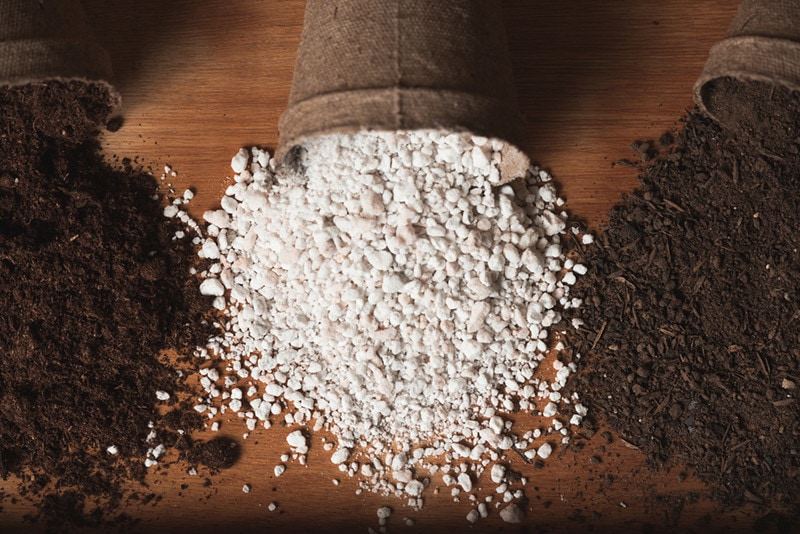 Should You Add Perlite To Your Soil Different Types Pros Cons   Soil And Perlite 