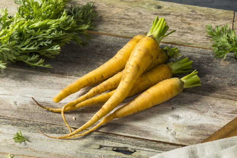 Solar Yellow carrot