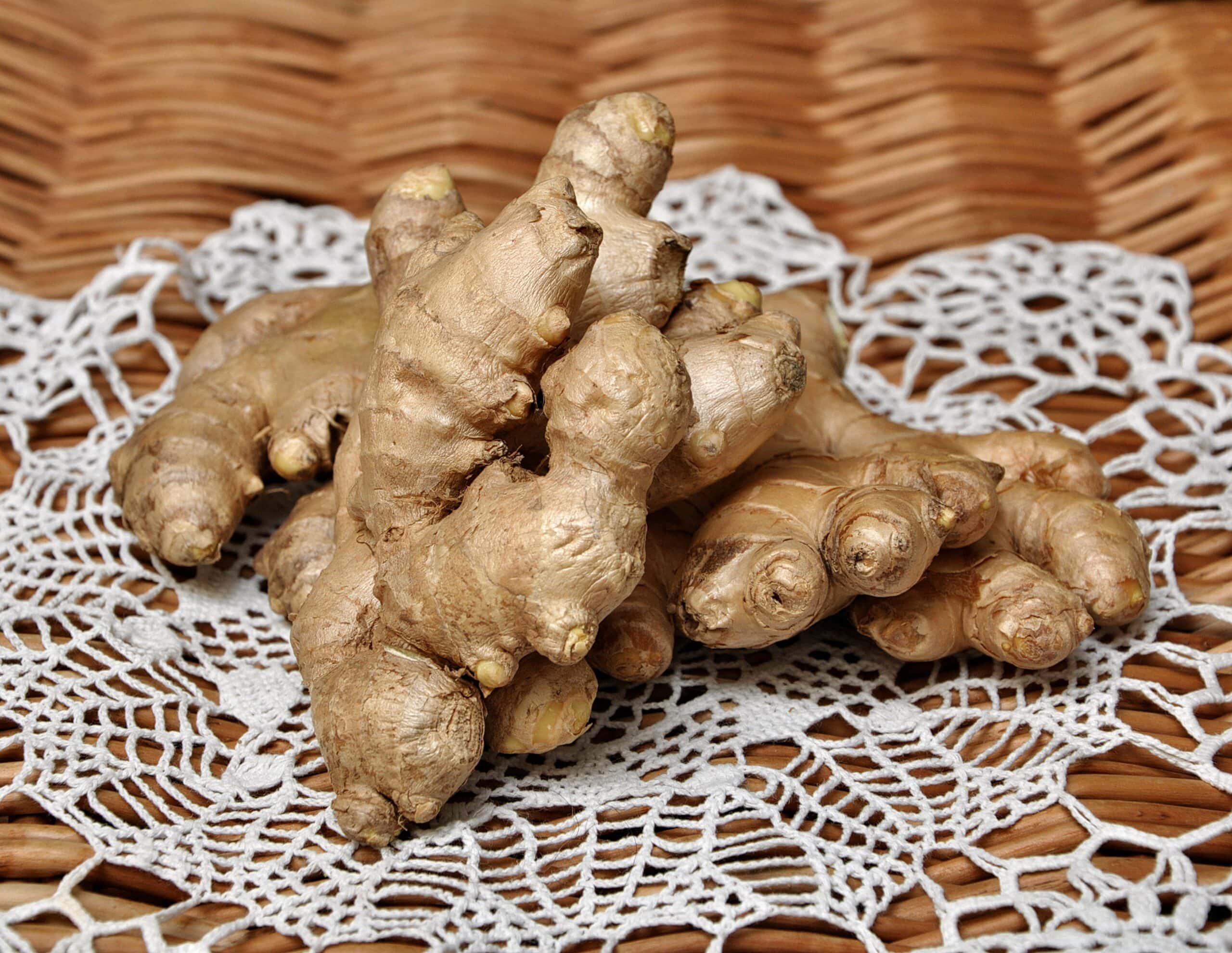 Thai Ginger