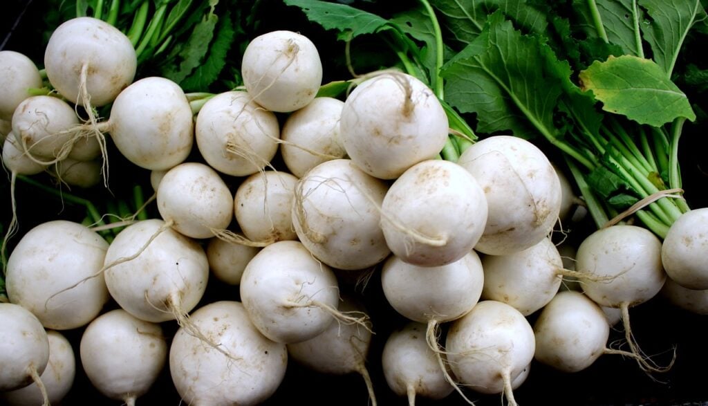 Tokyo Cross Turnips