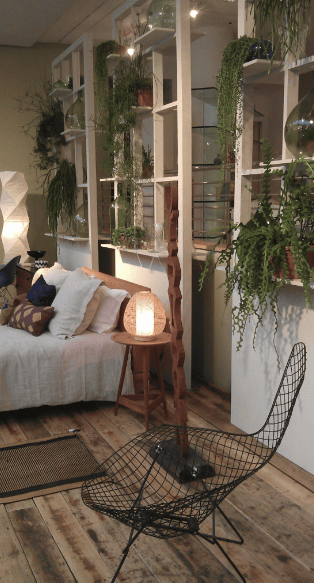 Use Several Large Indoor Plants by Barbulianno Design