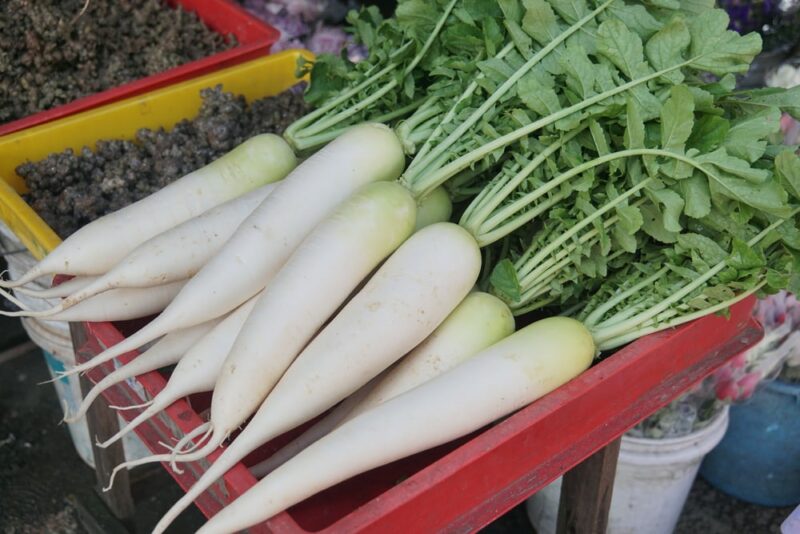 White Satin Carrot