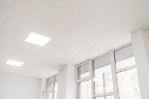9 Common Types of Ceiling Tiles (With Pictures) | House Grail