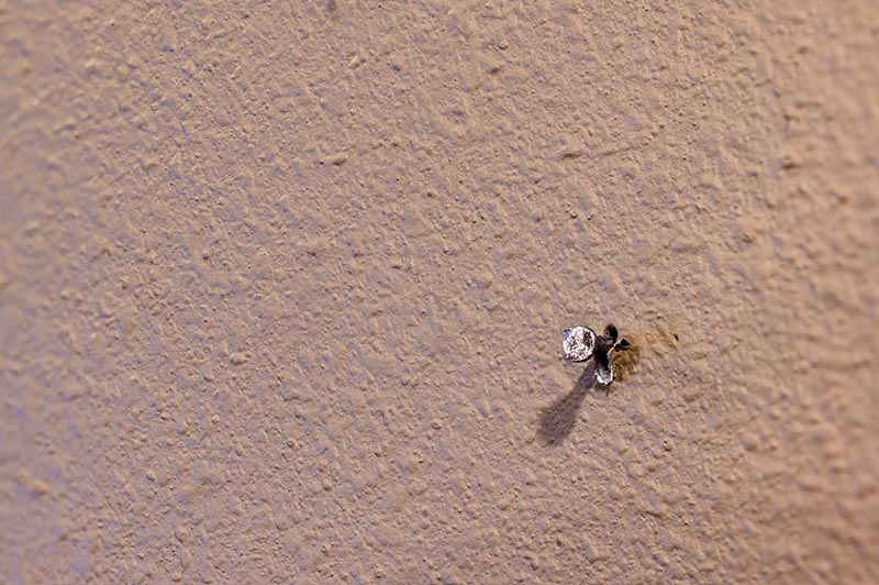 close up nail on the drywall