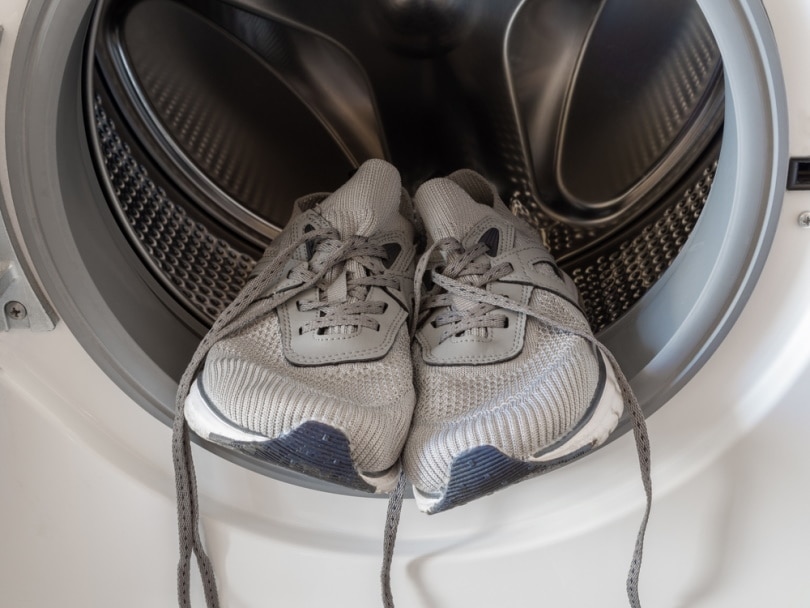 How To Dry Your Shoes In The Dryer: A Simple 9-Step Guide HomelyVille ...